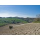 Properties for Sale_Farmhouses to restore_COUNTRY HOUSE WITH LAND FOR SALE IN LE MARCHE Farmhouse to restore with panoramic view in Italy in Le Marche_18
